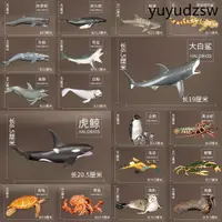 在飛比找蝦皮購物優惠-熱銷· 實心海洋世界海底生物仿真野生動物模型玩具軟膠花枝海龜