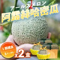 在飛比找momo購物網優惠-【果樹寶石】中部日本阿露斯哈密瓜1顆x2盒（3斤/盒）(產銷