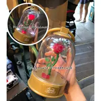在飛比找蝦皮購物優惠-東京迪士尼 美女與野獸 玫瑰花 發亮 亮光 掛飾 燈飾 飾品