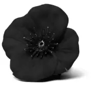 Indigenous Service Material Poppy Badge