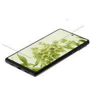 Film Screen Protector Pixel 6 Protector