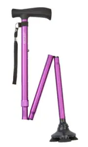 Ziggy Tribase Folding Stick in Purple