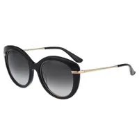 在飛比找PChome24h購物優惠-Salvatore Ferragamo- 時尚優雅太陽眼鏡（