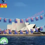 20 Flags 14x21cm Aussie Bunting Flag Banner String Australia Day Party Decor 5m