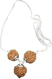 [Ganesha Arts] Rudraksha Combination for Advocates 4,6,8 Mukhi Nepal In Silver Pendent Attached To Silver Chain Certified (Big), Big, Wood, No Gemstone