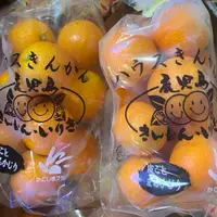 在飛比找蝦皮購物優惠-【日本最好吃金桔產地鹿兒島】  金桔色澤亮麗果皮皮薄可食  