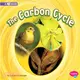 The Carbon Cycle ― A 4d Book