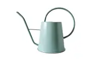 Rayell Metal Watering Can - Benji - Sage Green