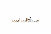 NOCH TT Scale Dogs and Cats Assembled and Painted Miniatures