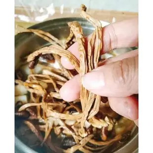 快樂購小吃 茶樹菇 柳松菇 肉厚大朵