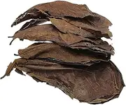 Terminalia Catappa Leaves | 10pcs Leaves For Betta Fish Tank Water Treatmentt | Betta Fish Aquarium Care | Aquarium Terminalia lleaf For Reduce Acidity And Improve Water Quality