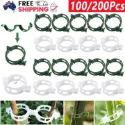 100/200PC Tomato Greenhouse Ties Veggie Plant Support Clips Garden trellis Stake