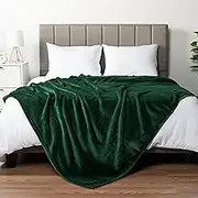 PAVILIA Fleece Blanket King Size | Super Soft, Plush, Luxury Flannel Throw | Lightweight Microfiber Blanket for Sofa Couch Bed (Emerald Green, 90x108 inches)