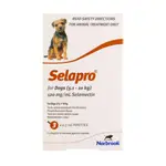 Selapro Flea & Worming Spot On Treatment 5.1-10kg Dog 3pk