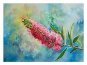Bottlebrush Canvas Print