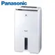 Panasonic 國際牌- 11L空氣清淨除濕機 F-Y22EN 送原廠禮 廠商直送