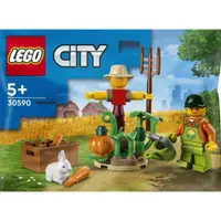 在飛比找蝦皮購物優惠-全新未拆 萬聖節 LEGO 樂高 30590 農莊花園和稻草