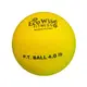 美國【EcoWise】重力球 藥球 物理治療球 4磅 2kg 專利NEUWA材質 不含乳膠無毒柔軟防滑材質 台灣製造