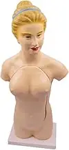 CHROX PVC Educational Model 45CM Female Human Torso Anatomy Model Human System Organ Anatomy Model