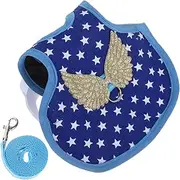 BESPORTBLE Chic Chicken Duck Costumes Warm Vest Harness Secure Leash for Outdoor Activities