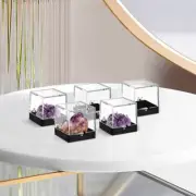 4 Pcs Mineral Stones Display Cases Specimen Box Rock Container Sample