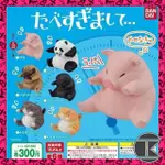 B【愛蛋客】現貨 BANDAI 轉蛋 扭蛋 吃太飽動物公仔 坐姿體前彎 過胖動物 肥胖 胖胖 公仔 全6款