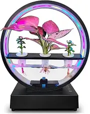 Decorative Atmosphere Lamp Ornament Plant Growth Light Hydroponic Ecological System Wirel Speaker Music Sync with Button Remote Control pe-C Plug and Play