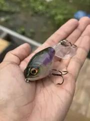 Fully Custom Sunfish Whopper Plopper