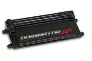 Holley Dominator EFI ECU Only With USB & Software 554-114