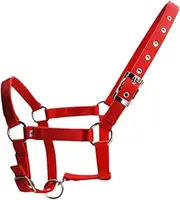 Amagogo Adjustable Horse Halter Equestrian Headstall Professional Practice Portable Horsemanship Equestrian Equipment for Groundwork