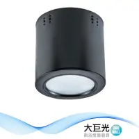 在飛比找momo購物網優惠-【大巨光】LED 15W 吸頂筒燈(LW-11-5179)