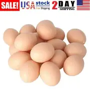 20×Dummy Faux Fake Chicken Eggs Get hens to Lay Eggs Poultry Mannequin Nest Eggs