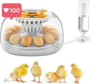 12-Egg Incubator – Fully Automatic with Temperature & Humidity Control!