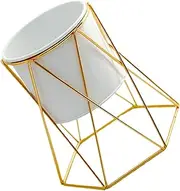 Generic Hydroponic Vases Wall Planter Pot Gold Plant Stand Indoor Plant Stand Modern Plant Stand Patio Gold Decor Gold Planter Plant Stands Railing Planter Gold Plant Holders Golden Iron