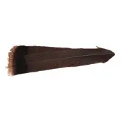 Hareline Dubbin Cinnamon Tip Turkey Tail Feathers