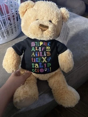 GUND TEDDY BEAR MARY POPPINS SUPERCALIFRAGILISTICEXPIALIDOCIOUS PLUSH CUTE 14"
