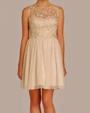 AIDAN MATTOX Champagne Lace Bodice Mesh Skirt S/L Fit Flare Dress NWT Womens 12