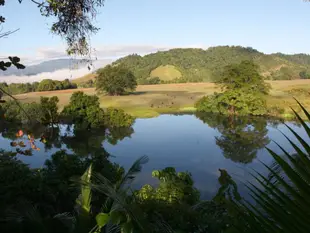 丹特里早餐民宿Daintree Village Bed and Breakfast