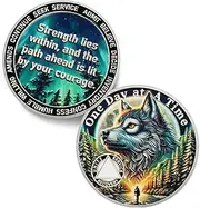 One Day at a Time Sobriety Coin - Recovery Triangle Forest Wolf AA Coins - Addiction NA AA Chips and Medallions - Celebrate 1-65 Sober Living Clean Narcotics Alcoholics Anonymous Gifts for Men Women