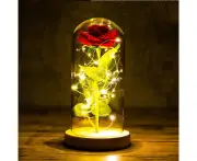 Beauty and the Beast Rose, Eternal Rose in Glass Rose in Glass Dome Artificial Flowers Roses