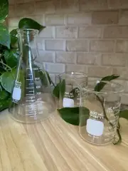 Set of Pyrex Beakers: (2) 400ml Low Form No. 1000s & (1) 1000ml Erlenmeyer Flask