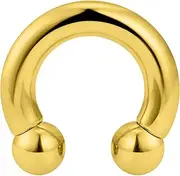 [Yaalozei] 00G Gold Spetum Rings Ear Gauges Earrings Plugs Tunnels Streching Piercing Kit Surgical Stainless Steel Horseshoe Prince Albert Nose PA Cartilage Earring Rings Piercing Jewelry Women Men