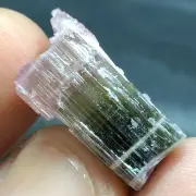 19.5 Carats Natural Bi-Color Tourmaline Crystal Fully Luster Quality Piece @Afgh