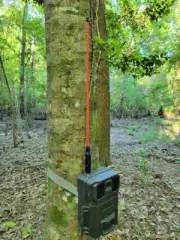 Covert FLEXIBLE Trail Camera Antenna LTE HD AT&T Verison Long Range Deer Hunting