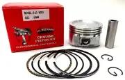ONE PISTON KIT FITS BRIGGS & STRATTON VANGUARD ENGINE 303777, PART # 843951