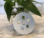 Handmade Clay Propagation Frog - Plant Accessory