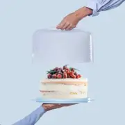 Tupperware LARGE Round Cake Taker or Pie Meadow Blue w/Handle Sheer Cover NEW
