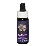 Fes Quintessentials Blackberry 7.5ml