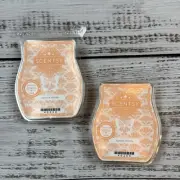 Scentsy Wax Bars Apricot Vanilla 3.2 Fl Oz Melts Warmer New Lot Of 2 Sold Out