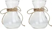 Happyyami 2pcs Hyacinth Vase Ikebana Vases Vintage Glass Vase Glass Terrariums for Plants Vintage Flower Vase Hyacinth Bulb Vase Hydroponic Bottle Vases Flower Arrangement Container Planter